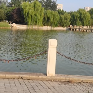 白鹭归庭 (翻奏: 小天鹅|翻奏: 原神)