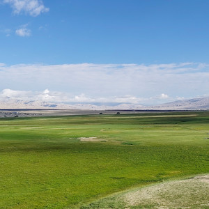 放歌，奋进百年 演出版