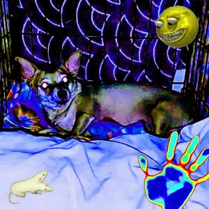 Bingus - cottage cheese in a ziploc bag