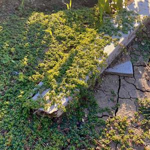 Corban - suddenly, i was that happy, blond little boy again.