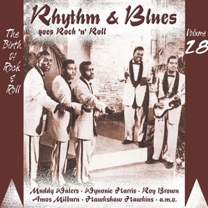 Rhythm & Blues Goes Rock & Roll, Vol. 28
