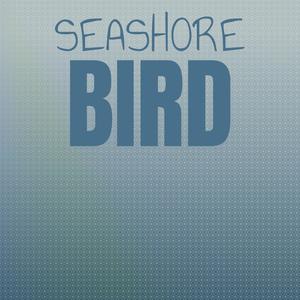 Seashore Bird