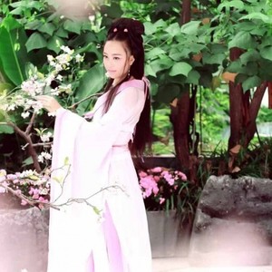 杏花落时茶幽香