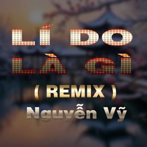 Lí Do Là Gì (QV Remix)