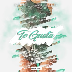 Te Gusta (Explicit)