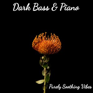 Dark Bass & Piano