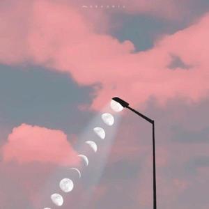 犯错 (女声版|翻自 群星)