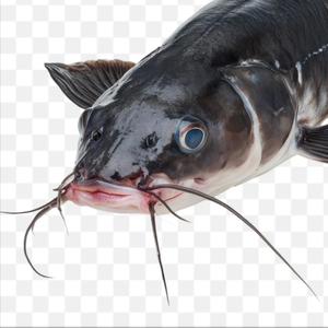 Spits in face/leaves (Explicit)