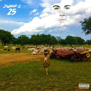 25 (Explicit)