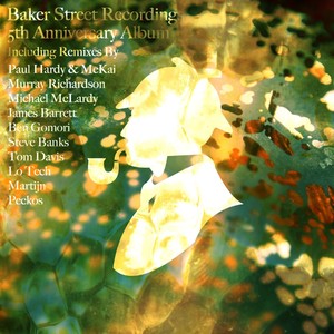 Broken Sleep (Ben Gomori's Sleeping Incubus Remix)