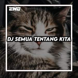 DJ SEMUA TENTANG KITA INS