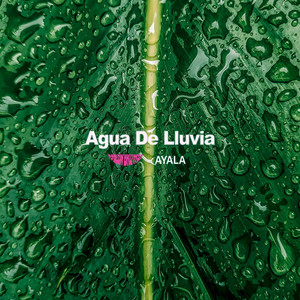 Agua De Lluvia