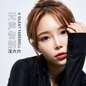 无声告别 (DJ沈念版)封面