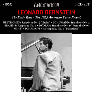 Symphony No. 9 in E Minor, Op. 95, B. 178, 