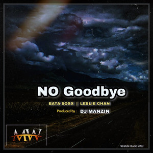 No Goodbye