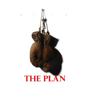 The Plan (Explicit)