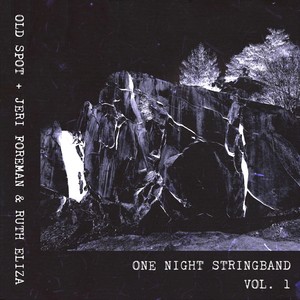 One Night Stringband Vol. 1