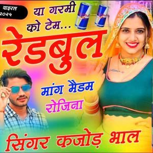 Redbul Mang Madam Rojina