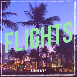 Flights (Explicit)