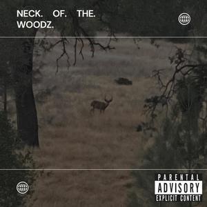 Neck of the Woodz (Explicit)