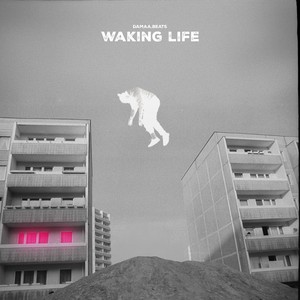 damaa.beats - So Pure