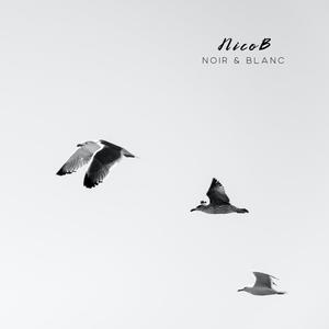 Noir & Blanc