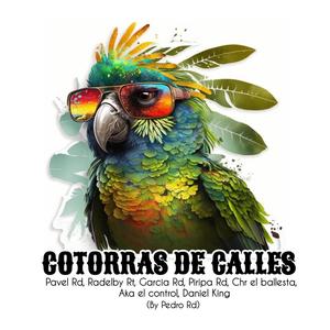 Cotorras De Calles (feat. Pavel Rd, Radelby Rt, García Rd, Piripa Rd, Aka el control & Daniel King) (Explicit)