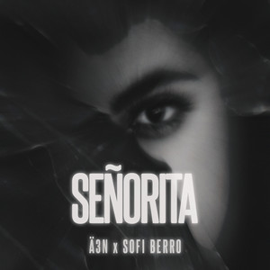 Señorita (Techno)