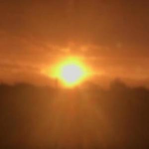 De Peke (feat. Coi) (Explicit)