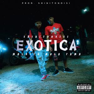 Exotica (feat. Shinitonoisi) (Explicit)