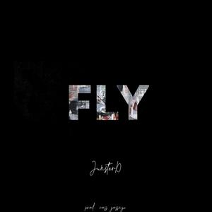 Fly