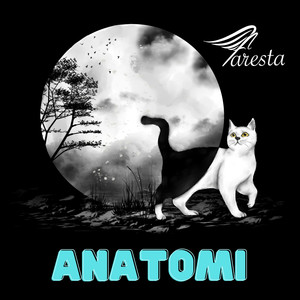 Anatomi