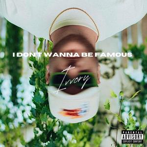 I Don't Wanna Be Famous (Explicit)