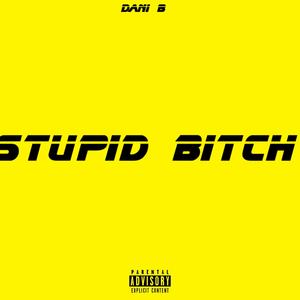 Stupid ***** (Explicit)