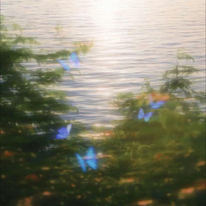 轻轻的夏天