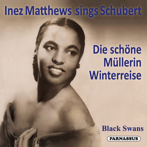 Winterreise, D. 911 - XXIII. Die Nebensonnen