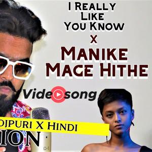 I Really Like You Know(feat. Manike Mage Hithe)