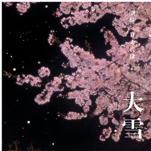 文爱 (DJ版)