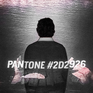 pantone #2d2926