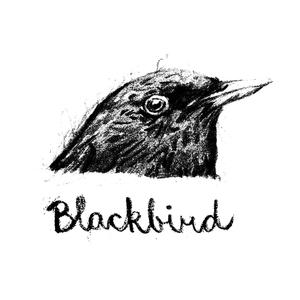 Blackbird