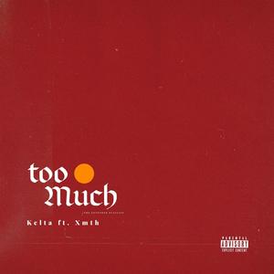 Too Much (feat. xmth) [Explicit]