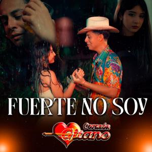 Fuerte no soy