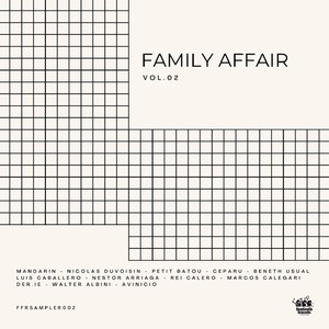 Family Affair, Vol. 2