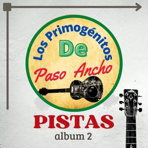 Pistas Album 2