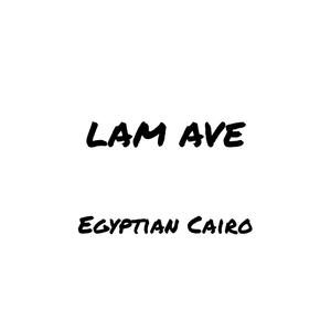 Lam Ave