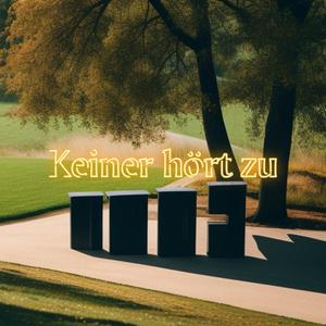 Keiner hört zu (feat. Rizzy) [Explicit]