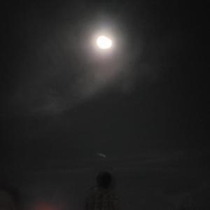 Stay with who?? (feat. Pistol Pete)