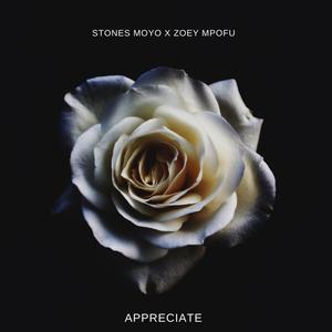 Appreciate (feat. zoey mpofu & Just Percy)