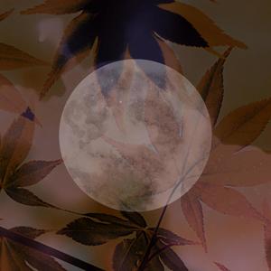 Shine On Harvest Moon