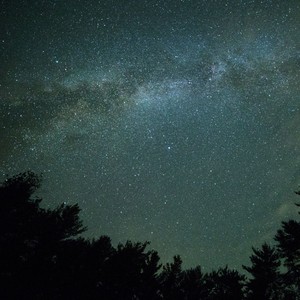 La Vida en Los Trópicos